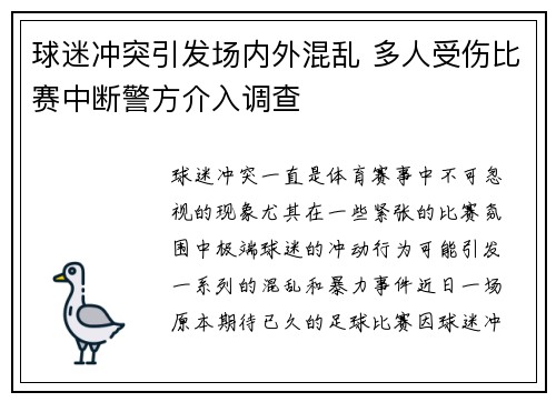 球迷冲突引发场内外混乱 多人受伤比赛中断警方介入调查